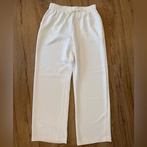 Aritzia Thesis Pant - Crepette